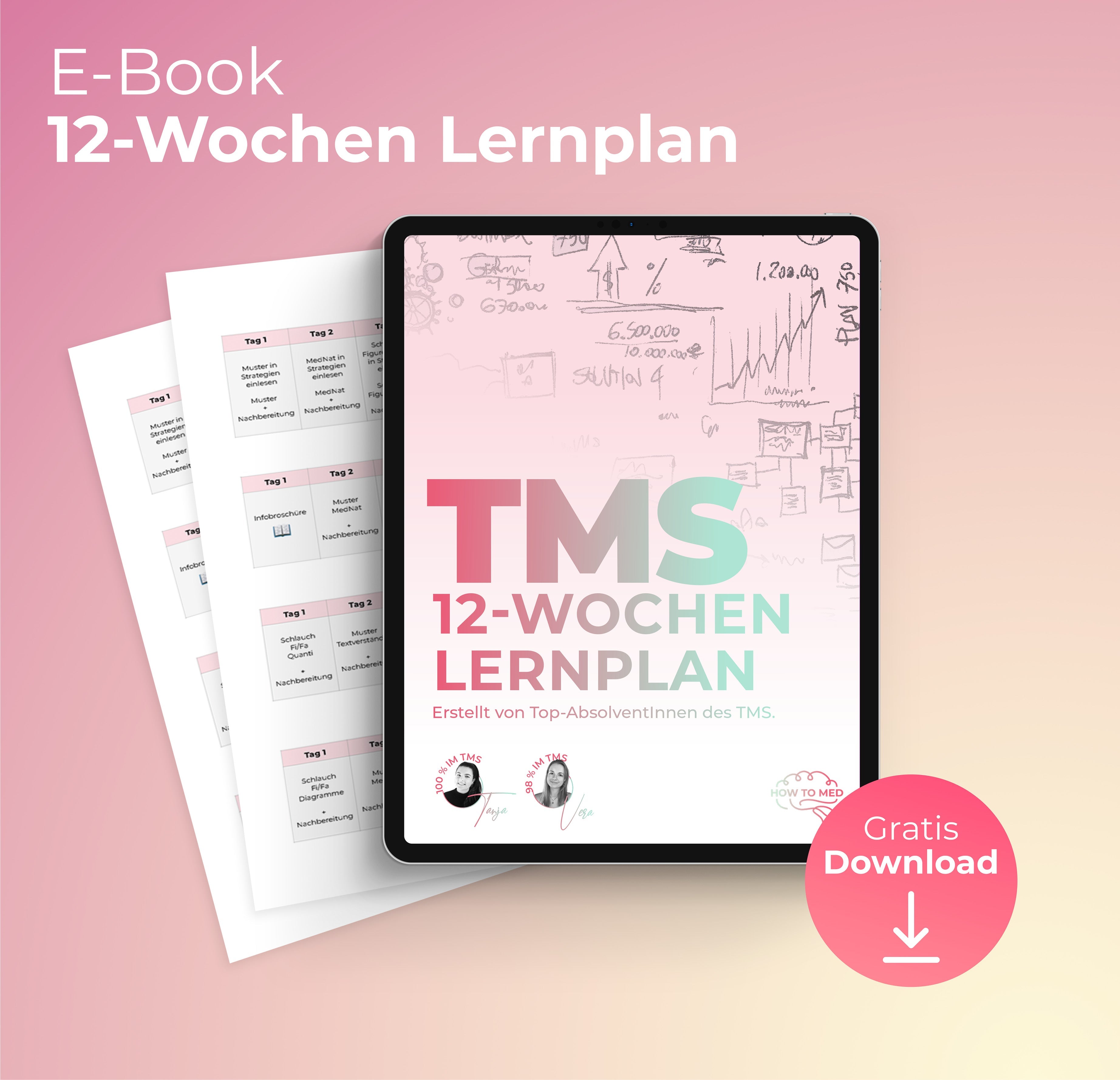 12-Wochen-Lernplan für den TMS