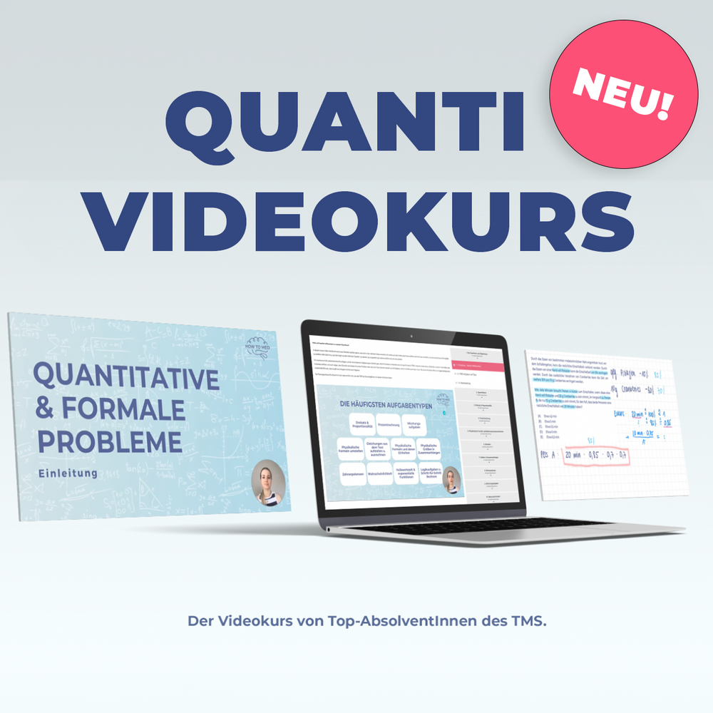 
                  
                    Videokurs - Quantitative und formale Probleme
                  
                