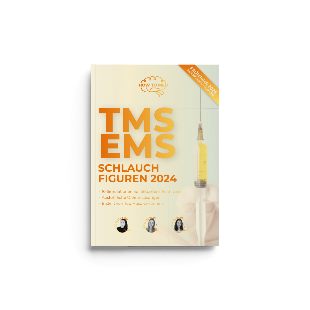 
                  
                    Sprint-Paket – TMS/EMS 2024
                  
                